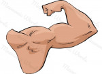 antebrazo