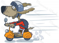 scooter — самокат