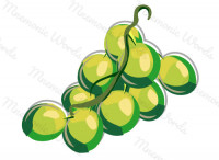 grape — виноградина, виноград