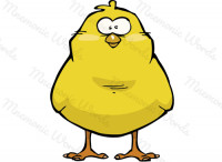 chicken — курка