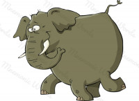 elephant — слон