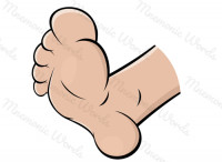 foot — the lowest part of the leg used for standing