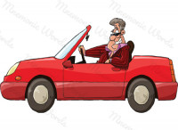 driver — водитель