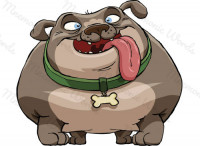 dog — собака