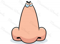 nose — the part of the face used for smelling and breathing